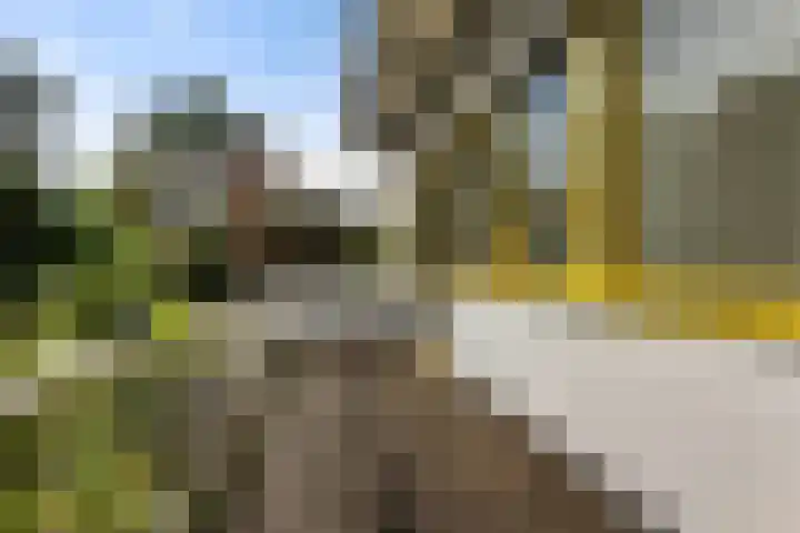 Papiermolenlaan 2 Groningen thumbnail 60
