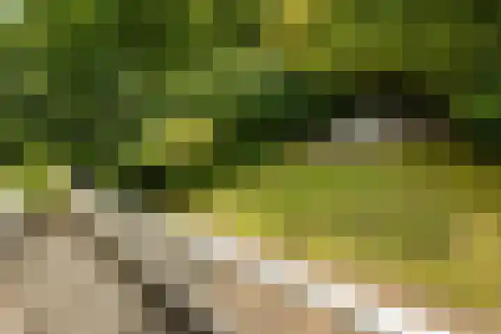 Papiermolenlaan 2 Groningen thumbnail 62