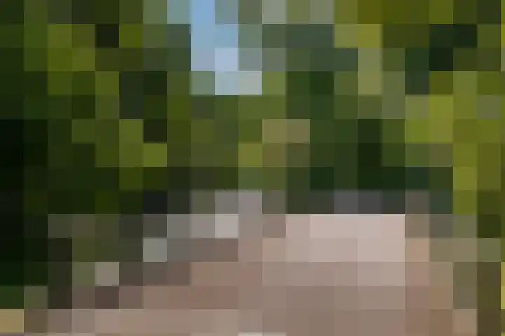 Papiermolenlaan 2 Groningen thumbnail 63