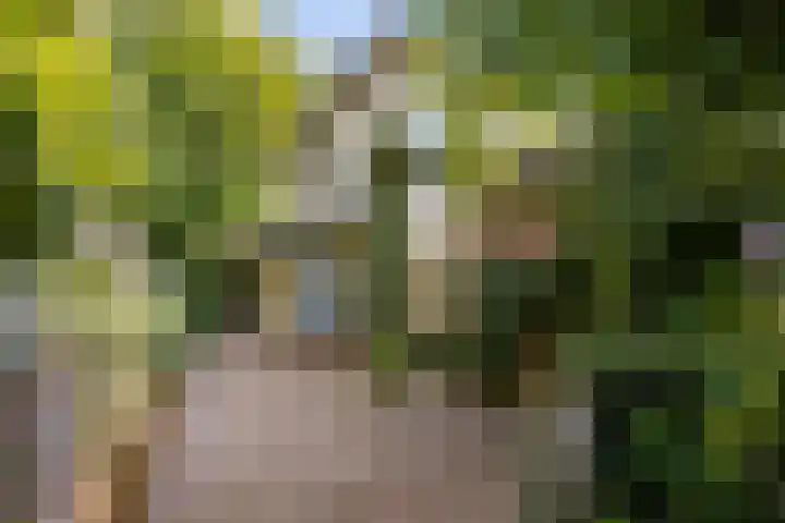 Papiermolenlaan 2 Groningen thumbnail 7