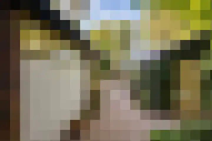 Papiermolenlaan 2 Groningen thumbnail 8