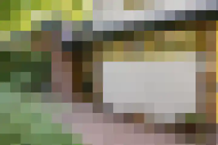 Papiermolenlaan 2 Groningen thumbnail 9