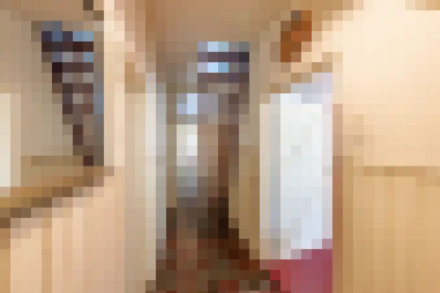 Papiermolenstreek 1 Makkum thumbnail 13