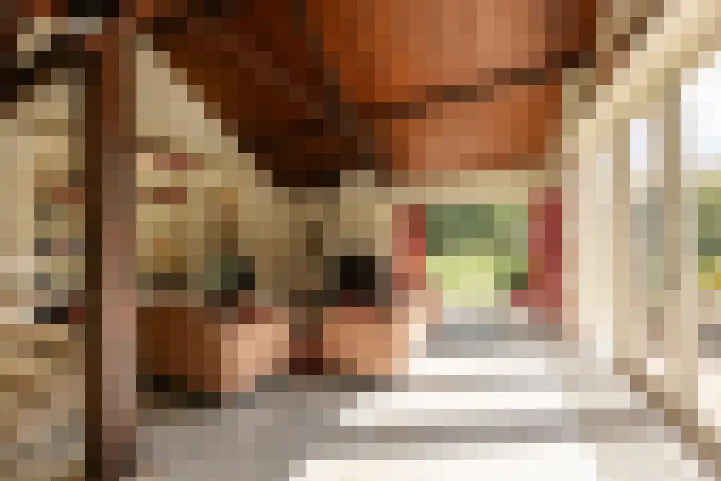 Papiermolenstreek 1 Makkum thumbnail 15
