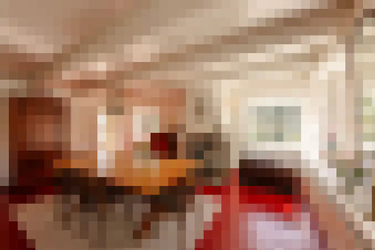 Papiermolenstreek 1 Makkum thumbnail 23