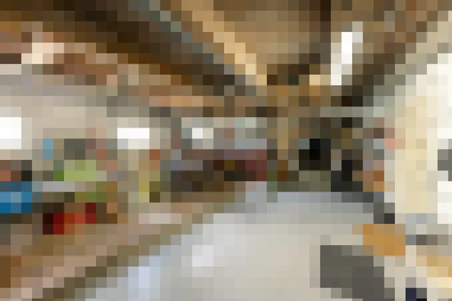 Papiermolenstreek 1 Makkum thumbnail 28
