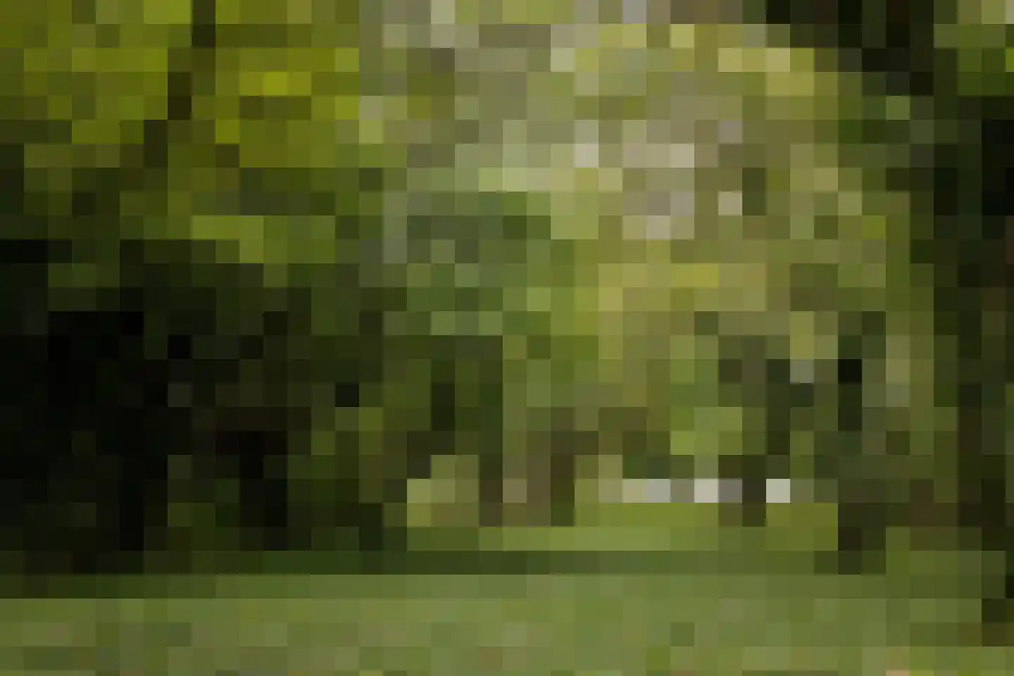 Papiermolenstreek 1 Makkum thumbnail 30