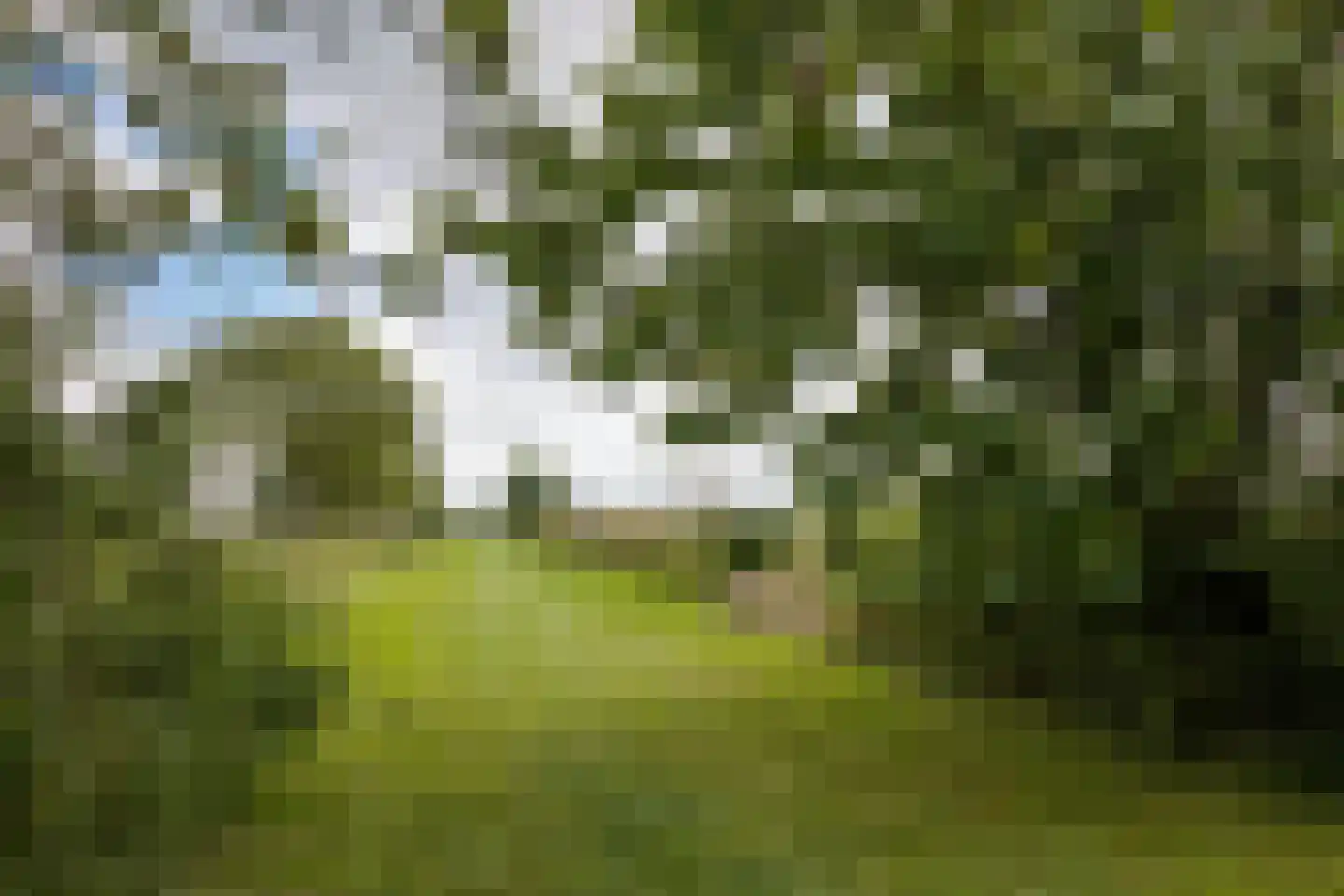 Papiermolenstreek 1 Makkum thumbnail 31