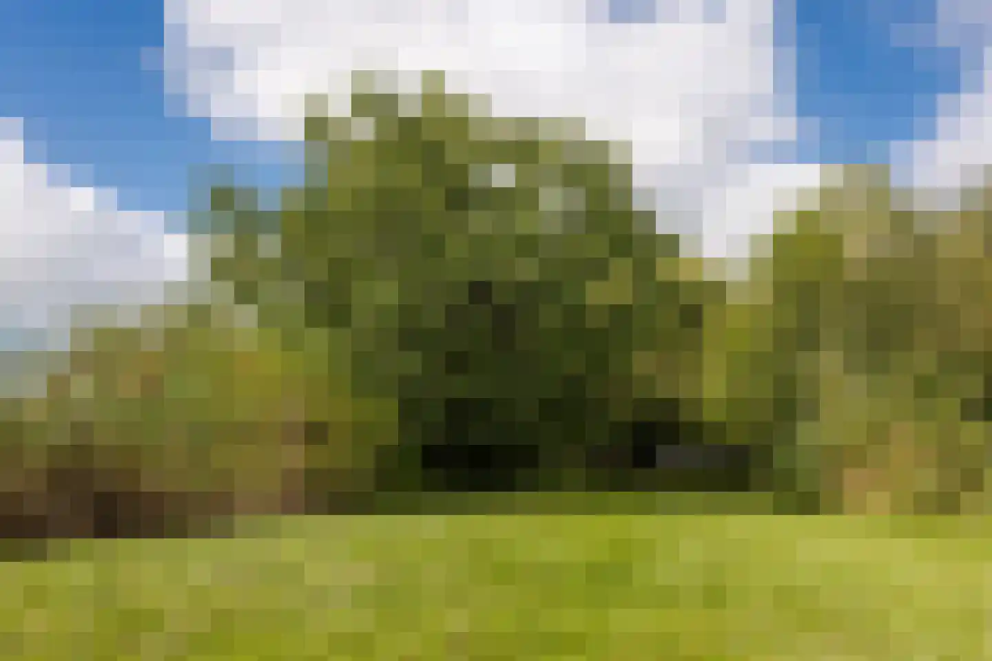 Papiermolenstreek 1 Makkum thumbnail 32