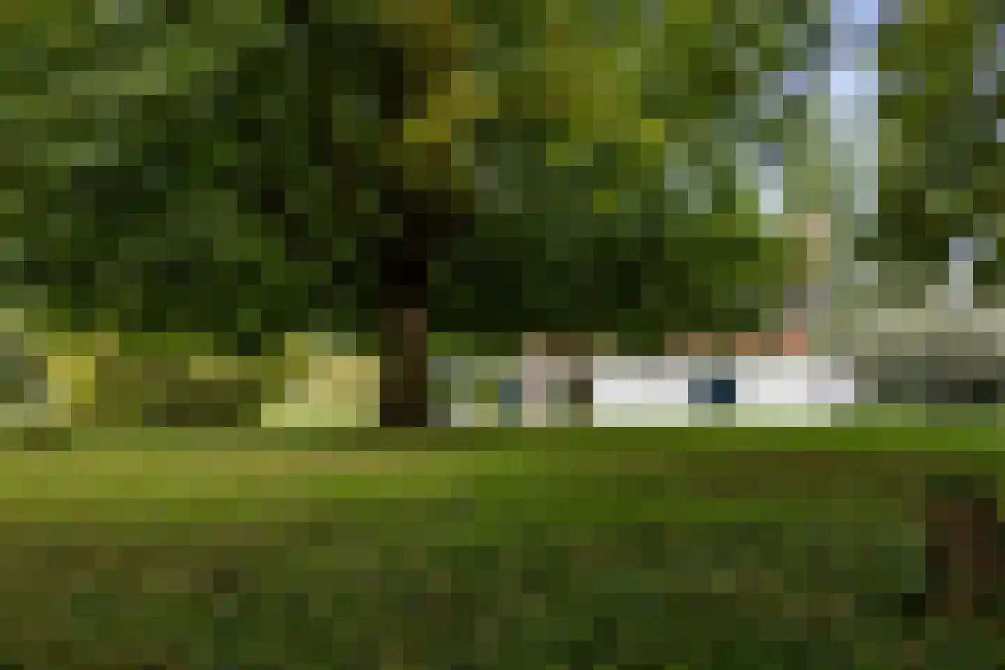 Papiermolenstreek 1 Makkum thumbnail 35