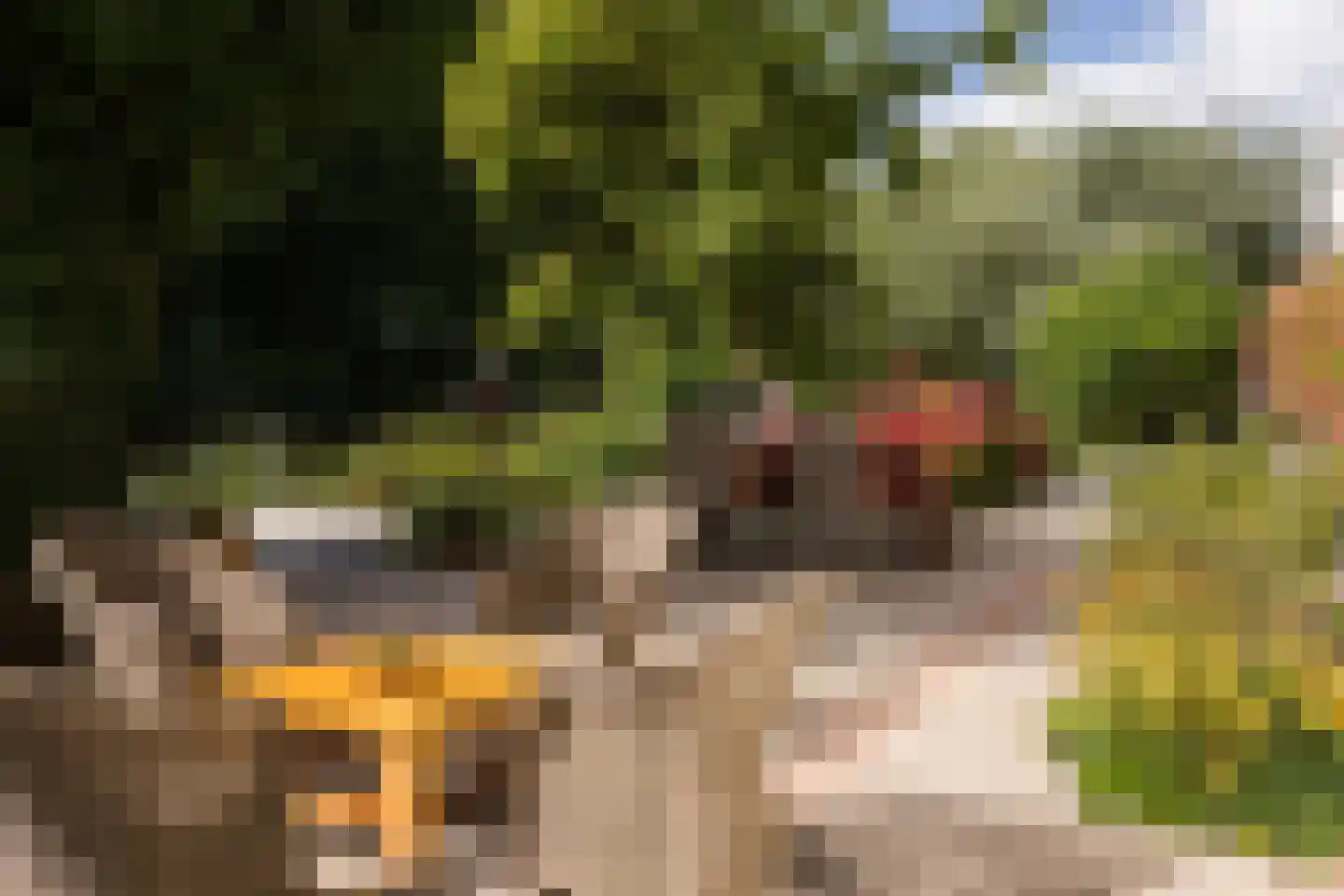 Papiermolenstreek 1 Makkum thumbnail 36