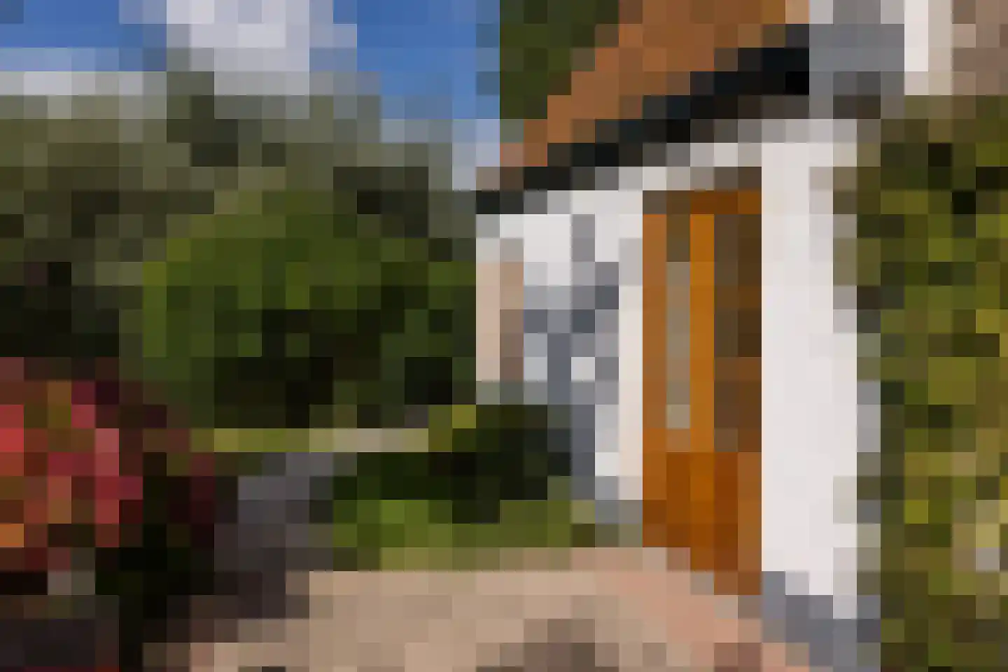 Papiermolenstreek 1 Makkum thumbnail 37