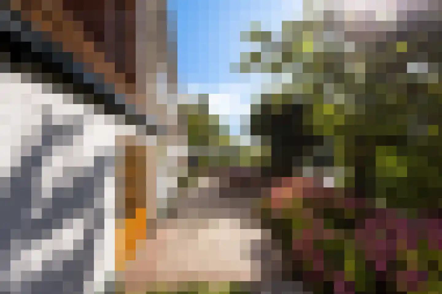 Papiermolenstreek 1 Makkum thumbnail 41