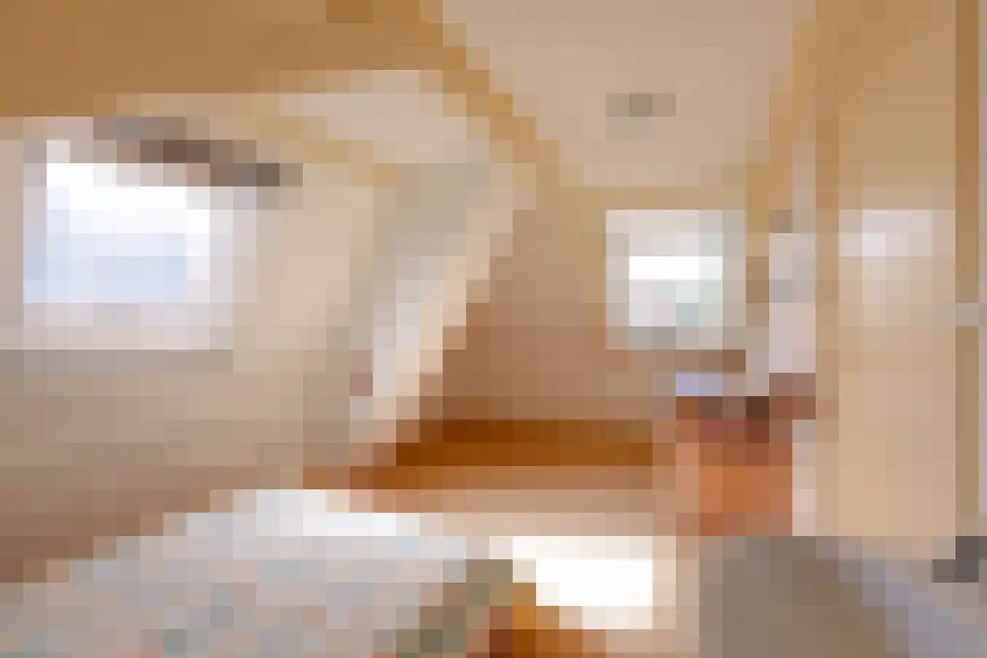 Papiermolenstreek 1 Makkum thumbnail 50