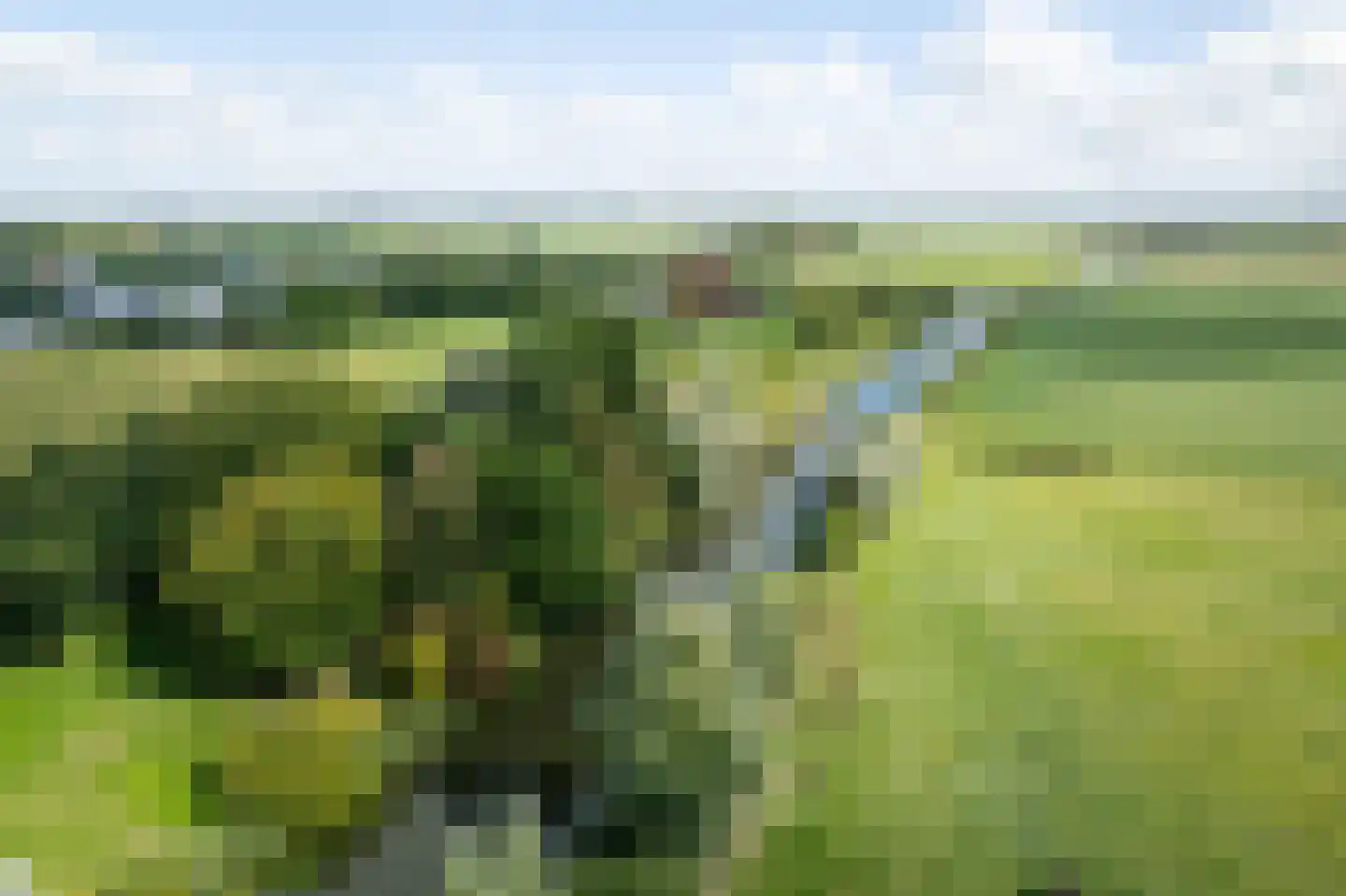 Papiermolenstreek 1 Makkum thumbnail 52
