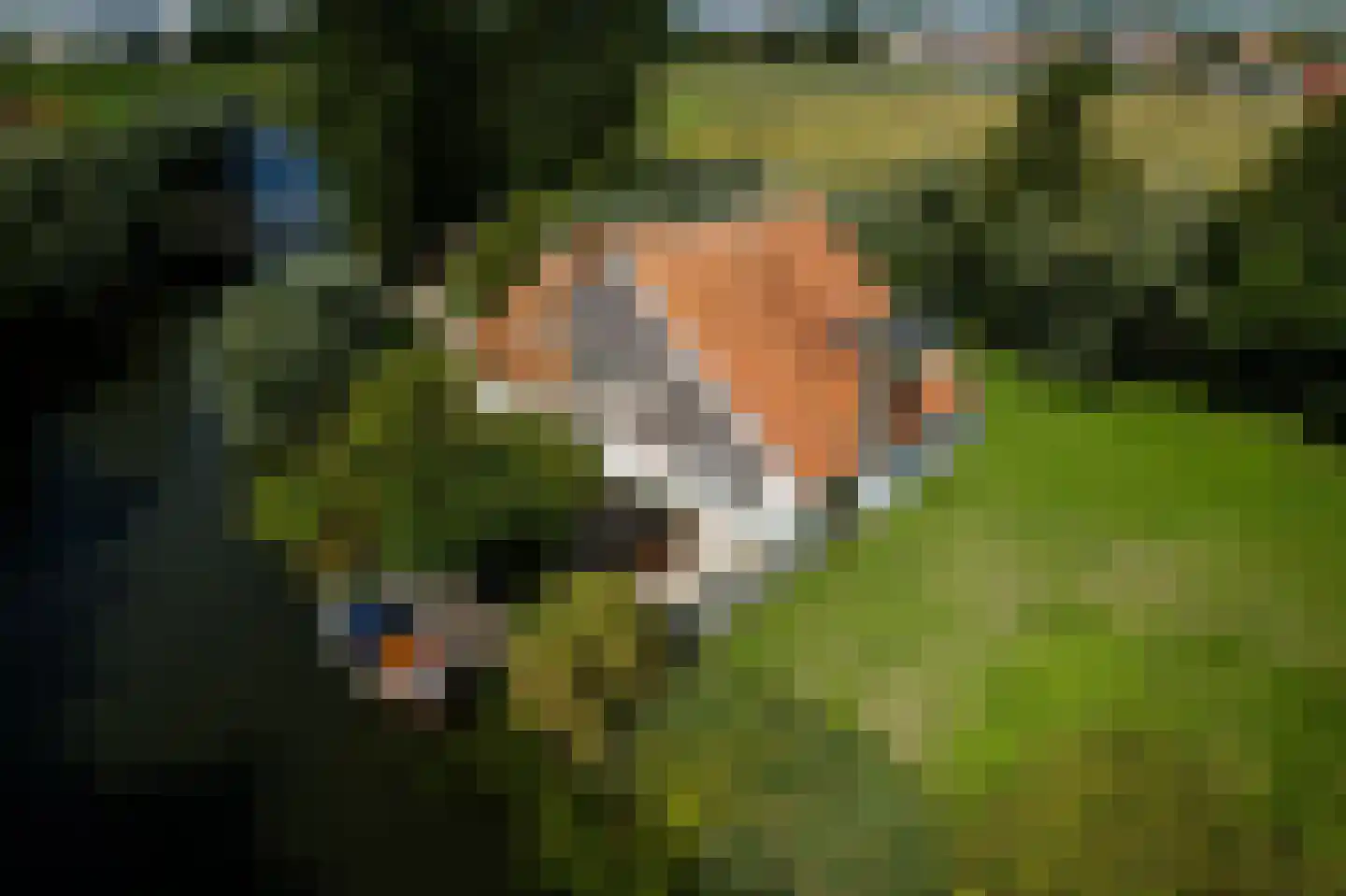 Papiermolenstreek 1 Makkum thumbnail 54
