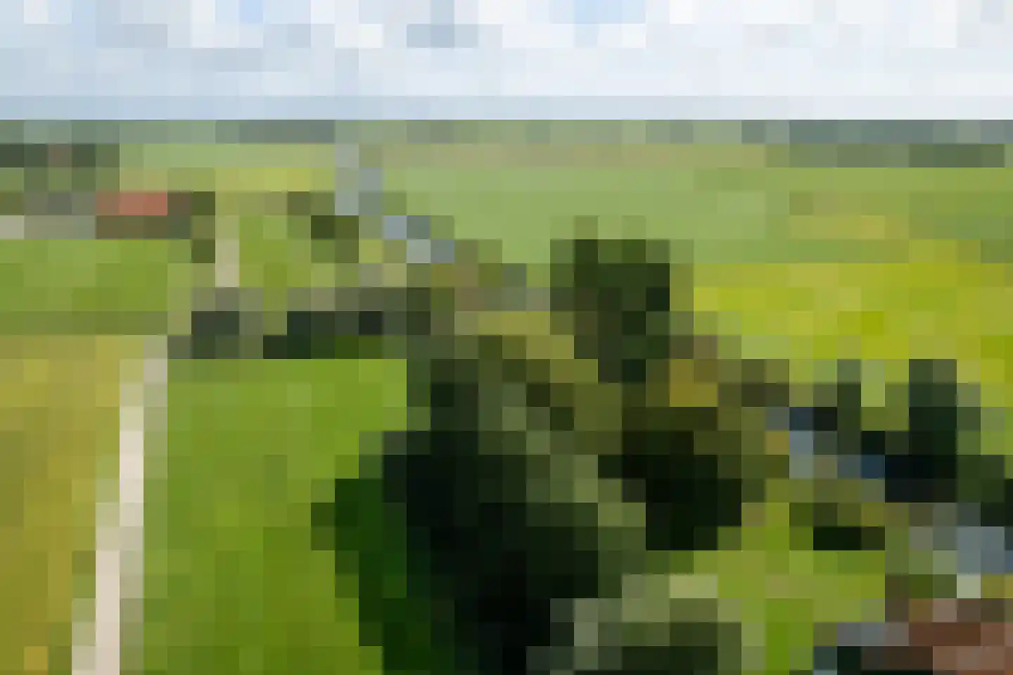 Papiermolenstreek 1 Makkum thumbnail 56