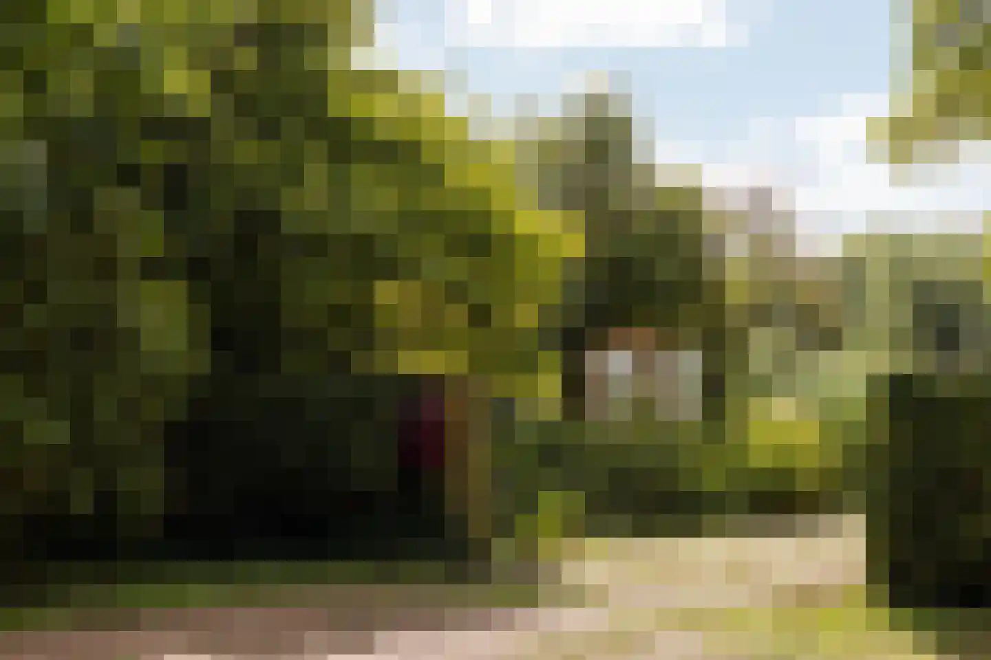 Papiermolenstreek 1 Makkum thumbnail 9