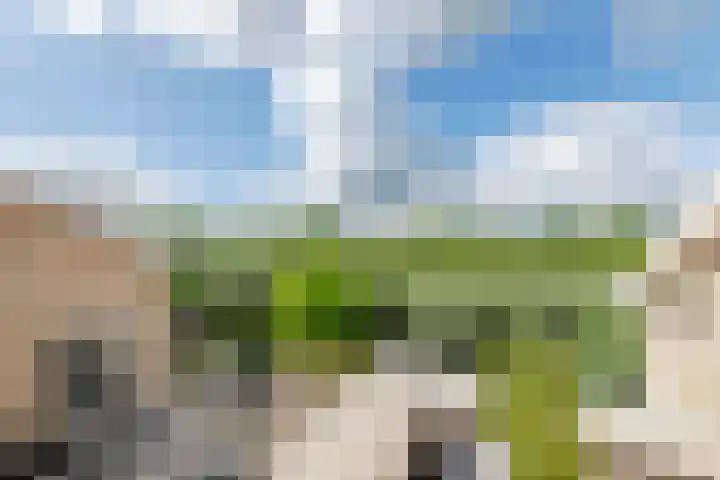 Papiermolenweg 57 Culemborg thumbnail 31