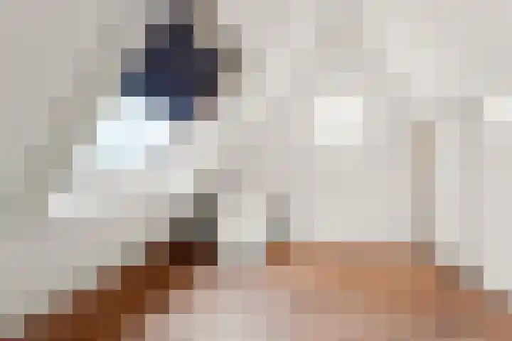 Papierschepper 3 Gennep thumbnail 18