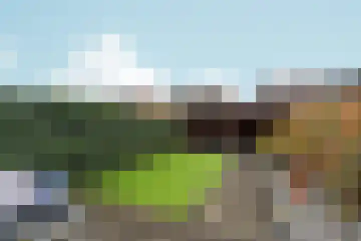 Papierschepper 3 Gennep thumbnail 21