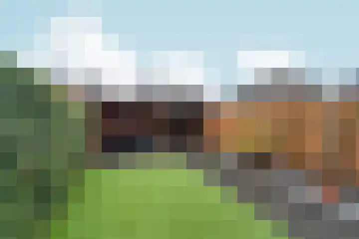 Papierschepper 3 Gennep thumbnail 22