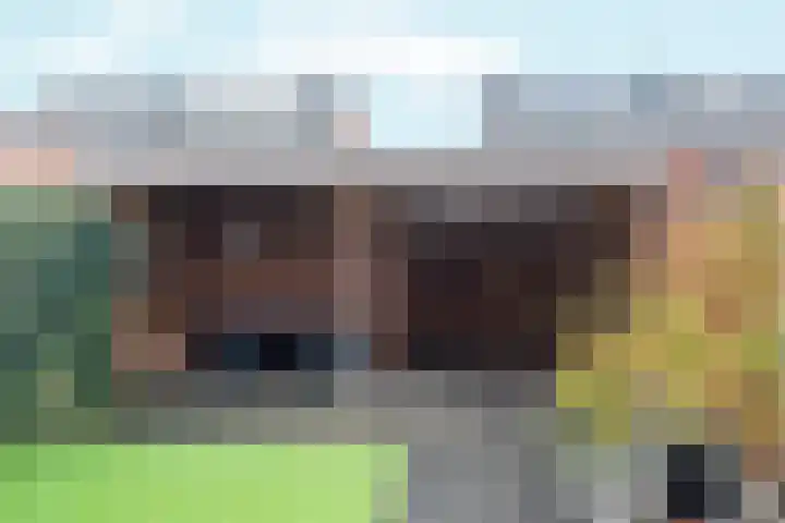 Papierschepper 3 Gennep thumbnail 23
