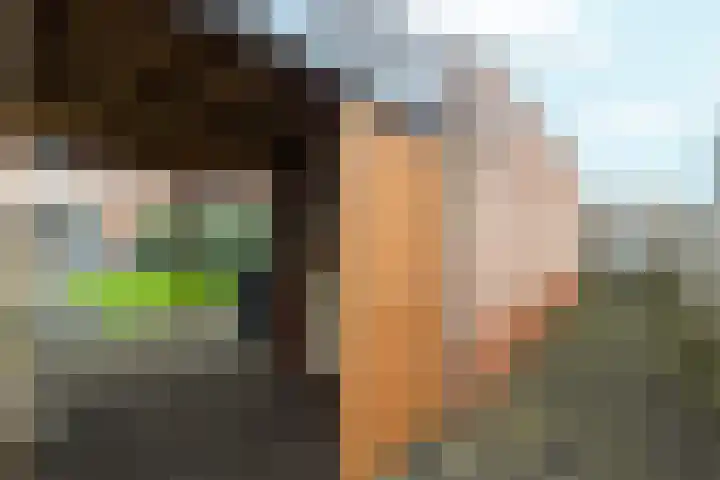 Papierschepper 3 Gennep thumbnail 26