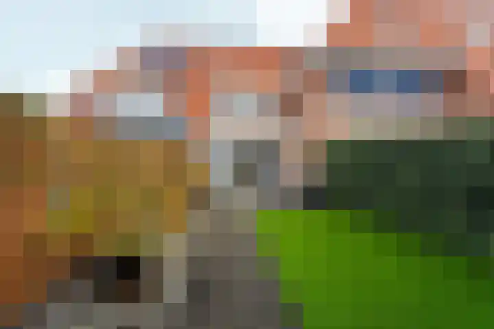 Papierschepper 3 Gennep thumbnail 28