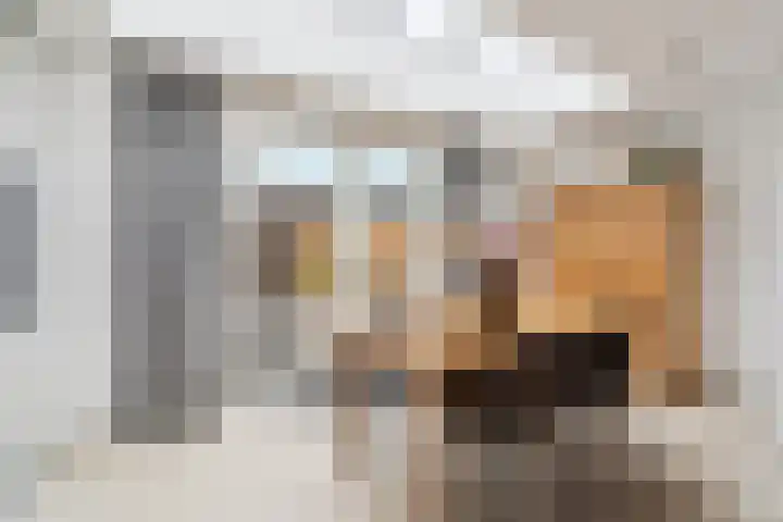 Papierschepper 3 Gennep thumbnail 6