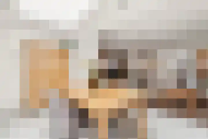 Papierschepper 3 Gennep thumbnail 7