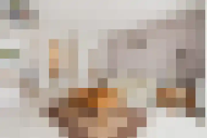 Papierschepper 3 Gennep thumbnail 8
