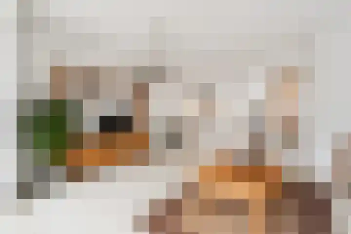 Papierschepper 3 Gennep thumbnail 9