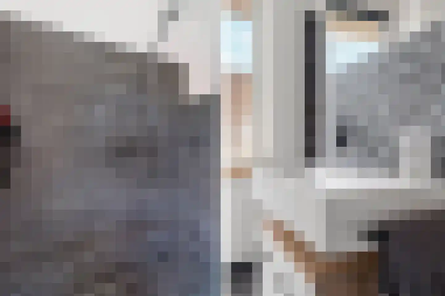 Papierschepper 6 Gennep thumbnail 22