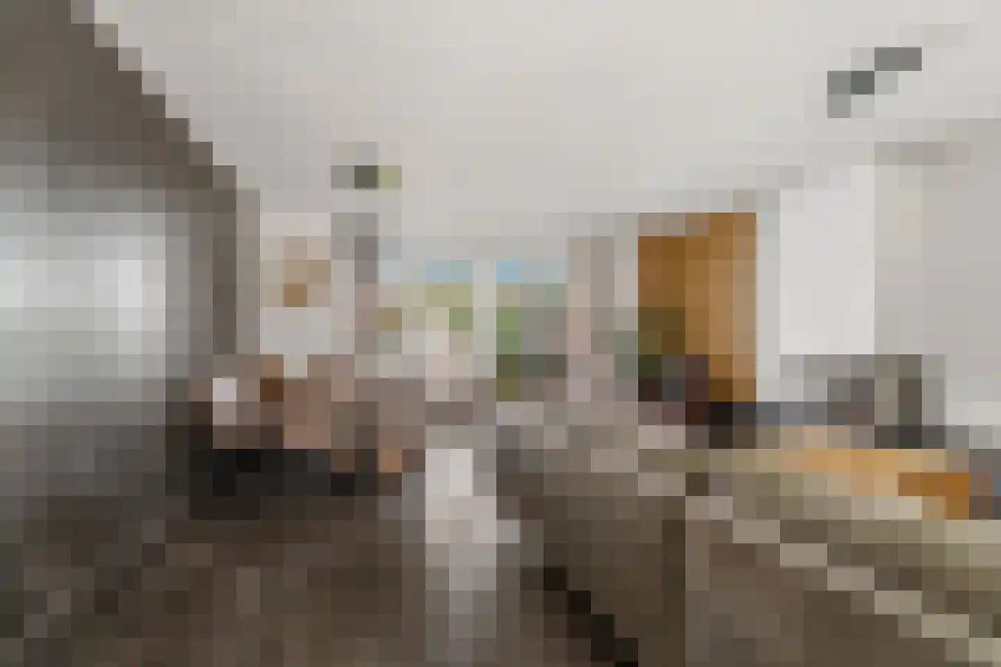 Papierschepper 6 Gennep thumbnail 7