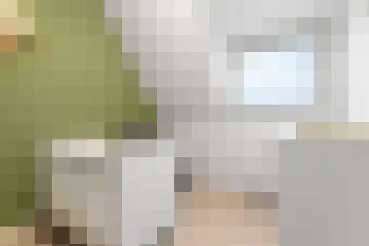 Papierschepper 9 Gennep thumbnail 15