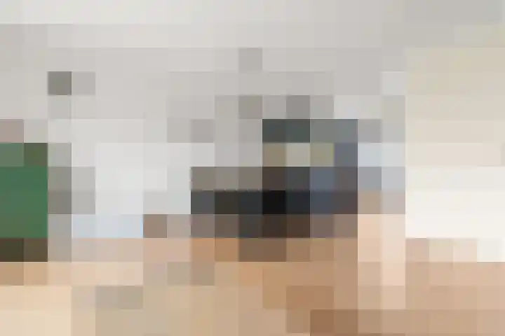 Papierschepper 9 Gennep thumbnail 9