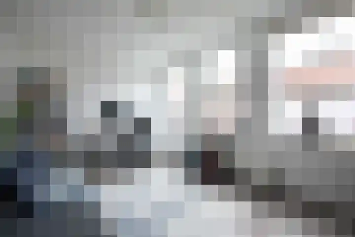 Papiliohof 2 Utrecht thumbnail 22