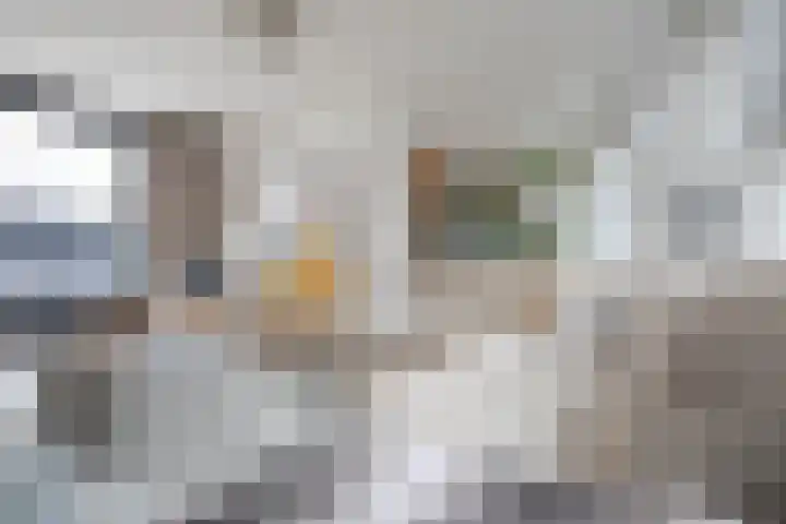 Papiliohof 2 Utrecht thumbnail 5