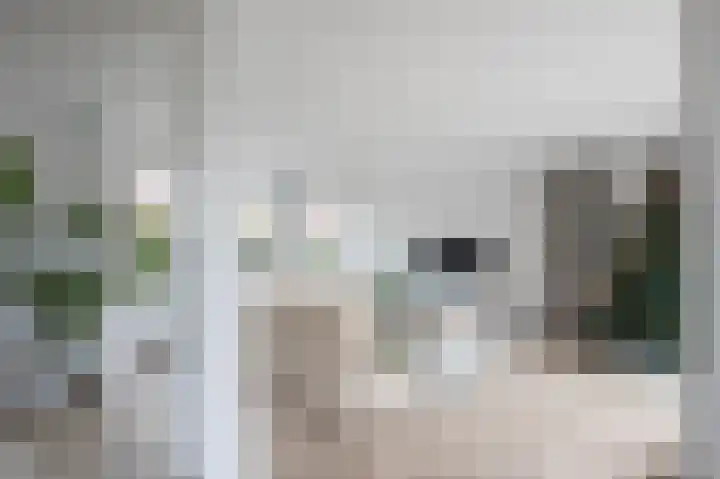 Papiliohof 2 Utrecht thumbnail 7