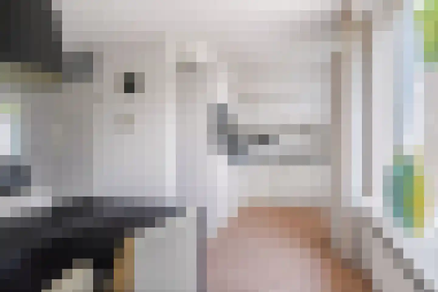 Papingastins 32 Leeuwarden thumbnail 10
