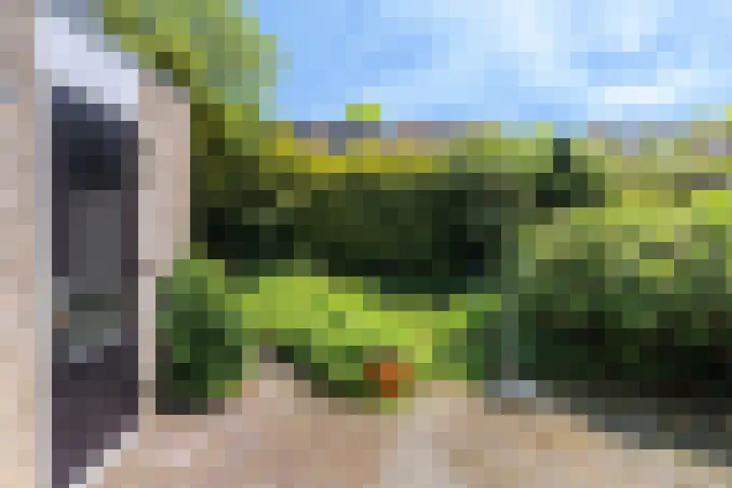 Papingastins 32 Leeuwarden thumbnail 17