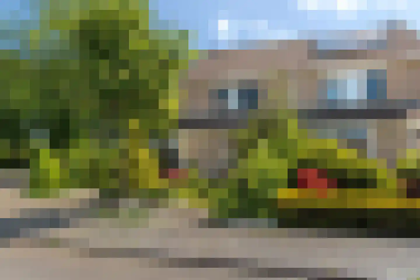 Papingastins 32 Leeuwarden thumbnail 38