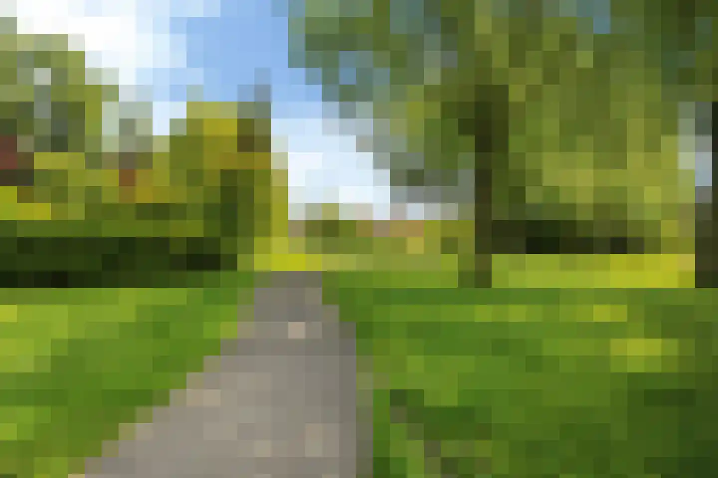 Papingastins 32 Leeuwarden thumbnail 45