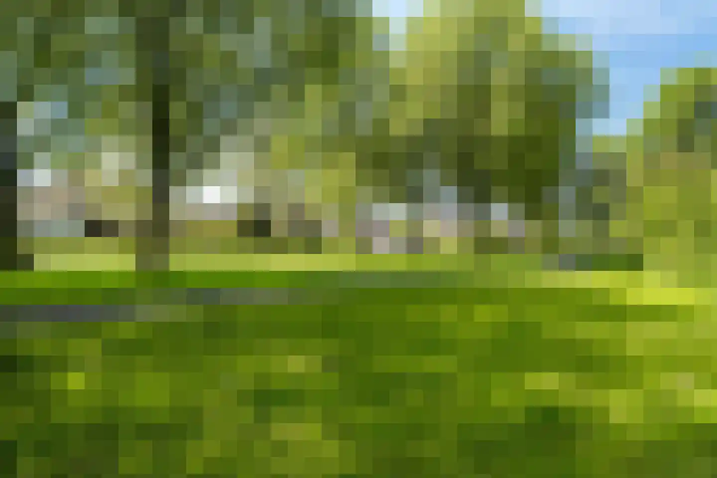 Papingastins 32 Leeuwarden thumbnail 48