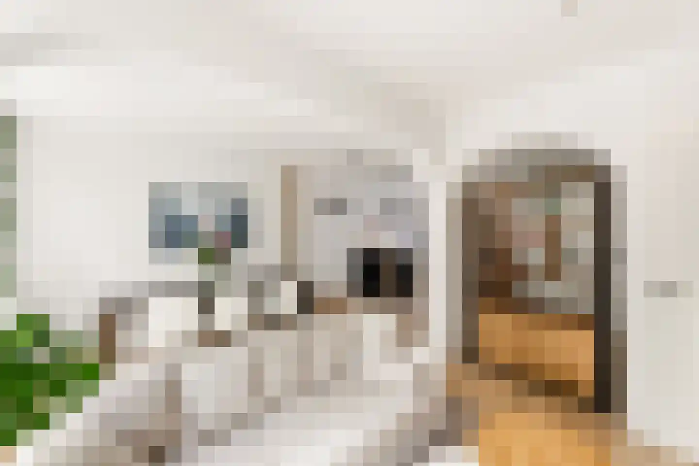 Papisland 7 Middelburg thumbnail 16
