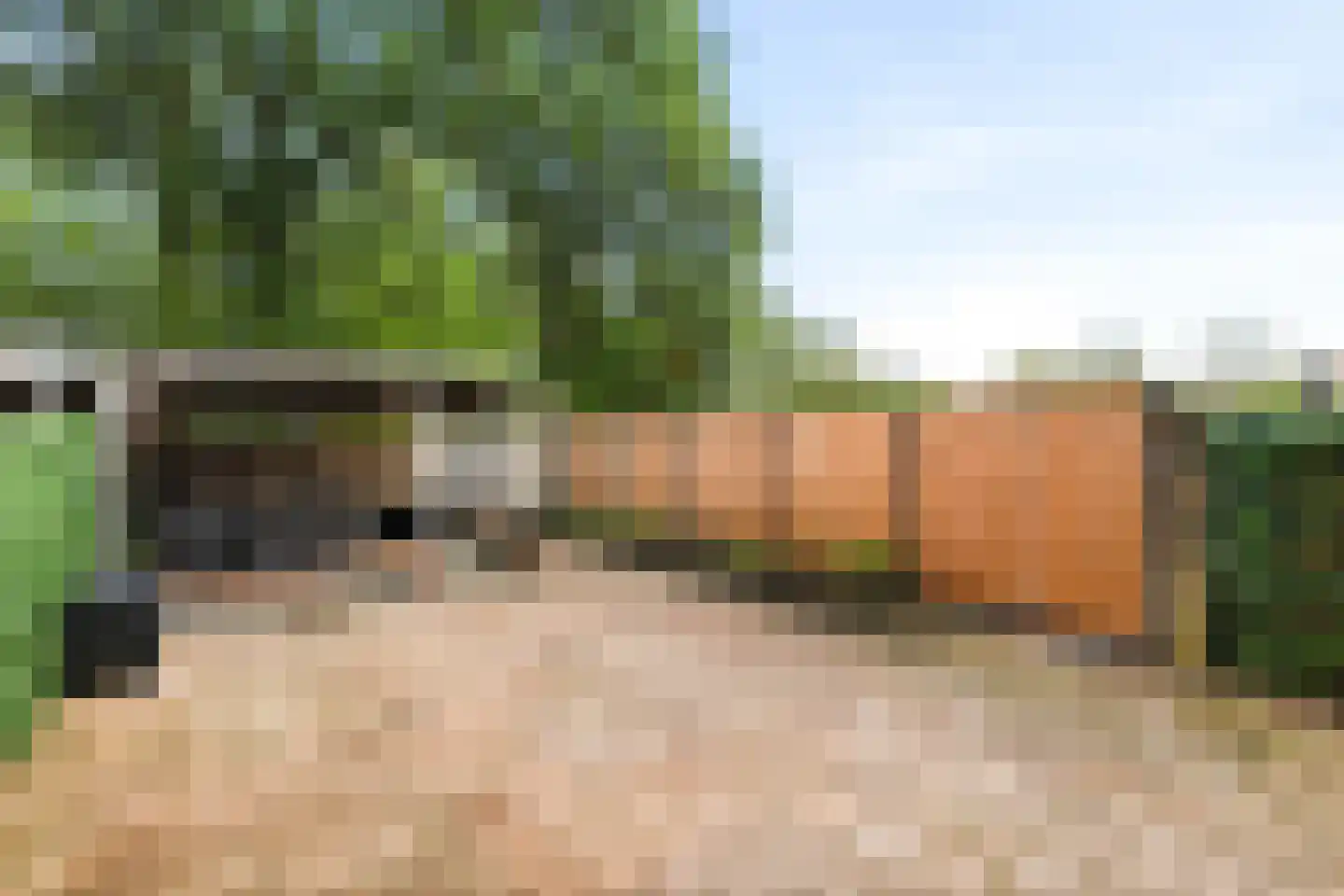 Papisland 7 Middelburg thumbnail 19