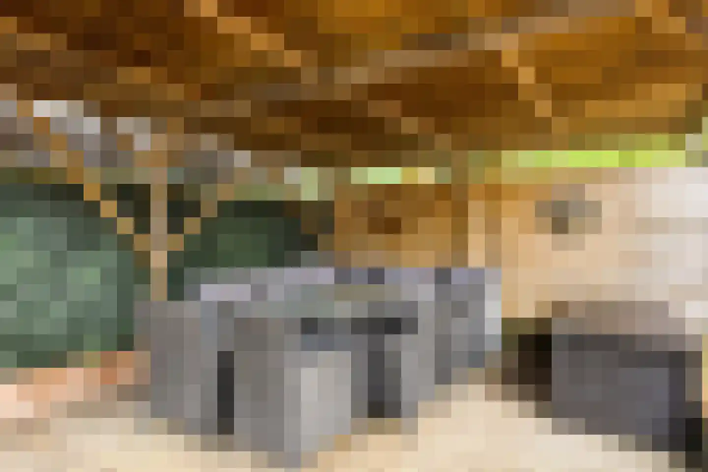 Papisland 7 Middelburg thumbnail 21