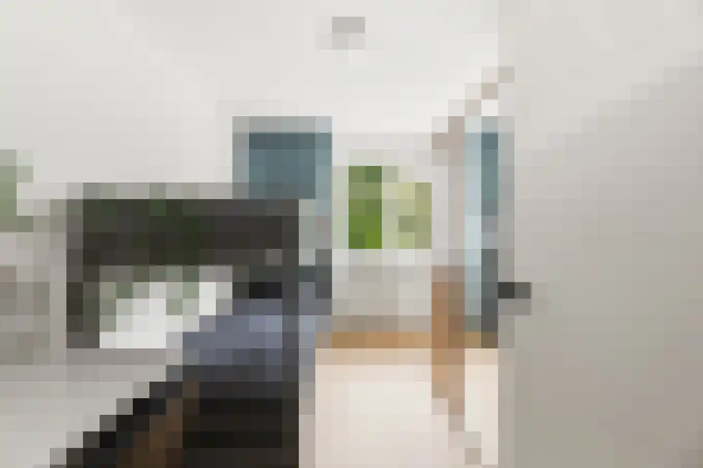 Papisland 7 Middelburg thumbnail 26