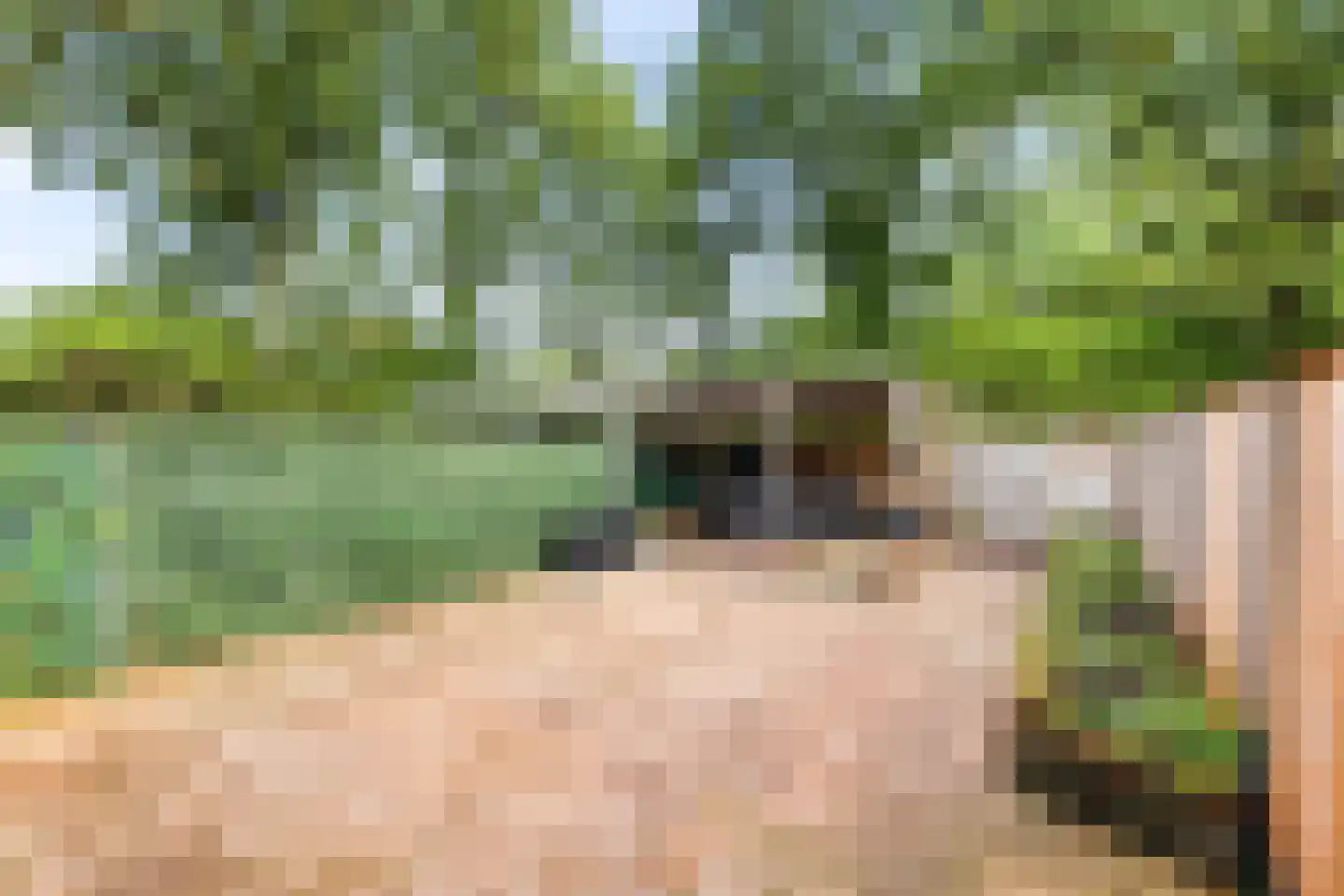 Papisland 7 Middelburg thumbnail 8